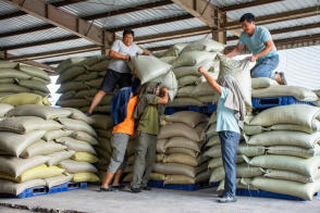 高效搬運(yùn)服務(wù) 人工裝卸、設(shè)備搬運(yùn)與工廠搬遷一體化解決方案